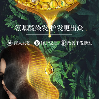 HANJINLIANG 韩金靓 染发剂植物膏180ml 棕色