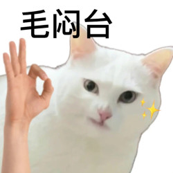 双11腕表好价汇聚此时❗️