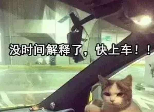 双11腕表好价汇聚此时❗️