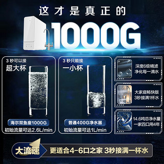 海尔（Haier） 海尔 新品净水器家用 双鱼座1000G巨霸制水量 家用直饮机RO反渗透大通量 双鱼座三件套