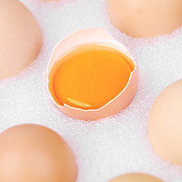 九華粮品 散养土鸡蛋 40枚 1.6kg 礼盒装