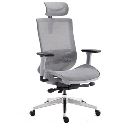 LIANSHU 恋树 人体工学电脑椅 F08升级版  网布坐垫