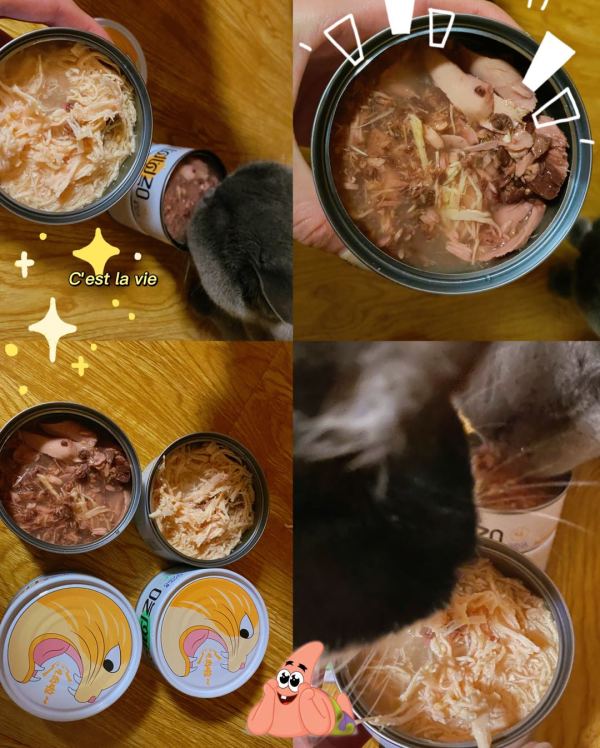 猫太郎,来吃肉啦!带你打开小众宠物品牌的正确购买方式!