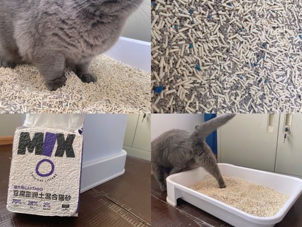 猫太郎,来吃肉啦!带你打开小众宠物品牌的正确购买方式!