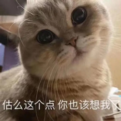 猫太郎，来吃肉啦！带你打开小众宠物品牌的正确购买方式！