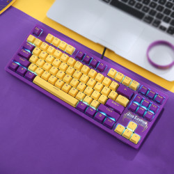 4g蓝牙游戏电竞机械键盘热插拔轴pbt