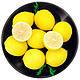 生鲜专享 四川安岳黄柠檬4颗 一级中果 单果约90-110g 莫吉托 新鲜水果