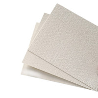 宝虹 棉浆水彩纸 粗纹 全开 300g 3张