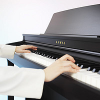 KAWAI 卡瓦依电钢琴 CN29重锤88键逐键采音键盘配重 象牙质感键面立式数码钢琴 CN201全套+超值礼包