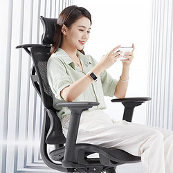 SITZONE 精壹 DS-367A1 人体工学电脑椅 黑色 网布坐垫款