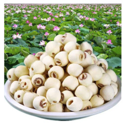 干货级无硫野生莲子 100g