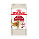 88VIP：ROYAL CANIN 皇家 F32成猫猫粮 0.4kg