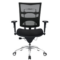 Want Home 享耀家 H6 重载型人体工学椅电脑椅转椅(推荐200千克/400斤内)