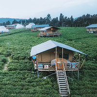 常州茅山森林世界露营基地(官方店)茶田帐篷式家庭房 1晚套餐（含双早+茅山森林世界门票+单次漂流/烎烤肉双人套餐+园内接驳车）