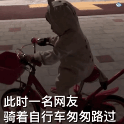 京东双11骑行会场领券上券，10日20点开启，叠券低至7折~