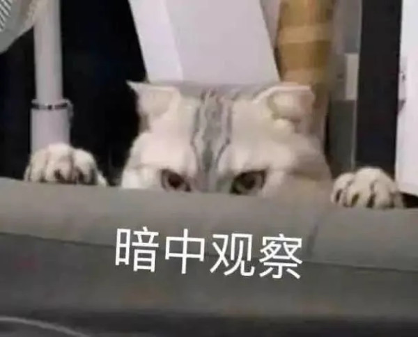 冲击京东双十一运动户外最后一波, 内含神券可叠万券~