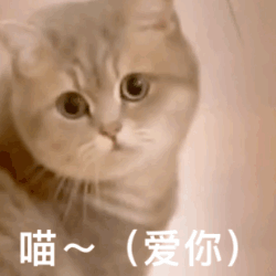 双11倒计时，红包不用少块肉！