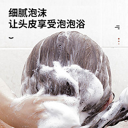 Dr Li 李医生 润然人参强韧滋养洗发水500ml控油修护柔顺滋养