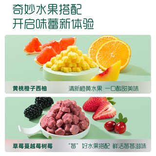 Enoulite 英氏 婴儿水果溶豆 18g