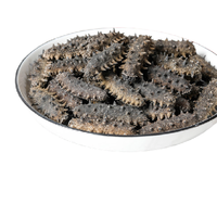 皇纯 5X 淡干海参 250g