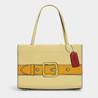 COACH 蔻驰 CASHIN CARRY 20号 女士手提托特包 C9813