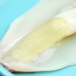 SOLID STANDARD 纯色本味 冷冻海捕全籽笔管鱿鱼 250g/盒 海兔小鱿鱼 只只带籽饱满 烧烤食材 海鲜水产
