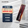 COLORFIRE 镭风 七彩虹镭风CF600 500G高速M.2台式机笔记本NVME固态硬盘SSD