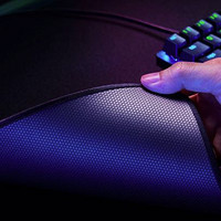 RAZER 雷蛇 \/雷蛇 凌甲虫游戏鼠标垫2021年新款办公电竞书桌垫电脑垫 凌甲虫L号