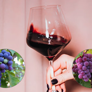 CHATEAU PAPE CLEMENT 克莱蒙教皇堡 佩萨克-雷奥良干型红葡萄酒 2013年 750ml