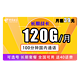 中国电信 长期战卡 39元月租（120GB全国流量+100分钟国内通话）赠送40话费 可选号