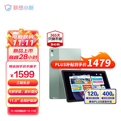 ThinkPad 思考本 联想平板小新Pad Plus 2023 11.5英寸影音娱乐办公学习平板电脑