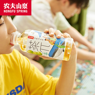 农夫山泉 NONGFU SPRING 茶π茶派果味茶饮料500ml*15 瓶