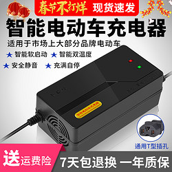 威敏 电动车电瓶充电器 48V12AH T型通用