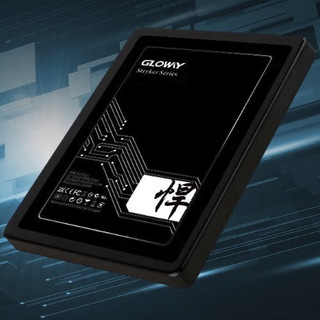 GLOWAY 光威 悍将 SATA 固态硬盘 1TB（SATA3.0）STK1TBS3-S7