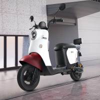 SUNRA 新日 小丽诺2.0 新国标电动自行车 TDT9451Z