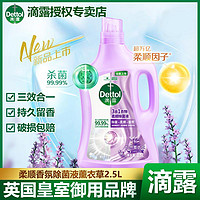 抖音超值购：Dettol 滴露 防静电杀菌除螨持久留香衣物除菌柔顺剂2.5L*1瓶