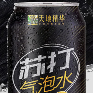 天地精华 0糖 苏打气泡水 330ml*20听