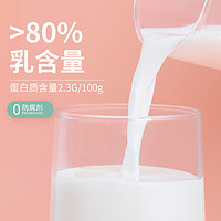 chic milc 牧心田 牛奶低温乳制品巧克力风味草莓哈密瓜香蕉果味饮品243ml