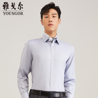PLUS会员：雅戈尔 男装秋季新款商务休闲纯棉长袖衬衫男9694 蓝色16384H 39