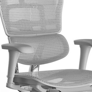 Ergonor 保友办公家具 金豪B 2代 人体工学电脑椅+躺舒宝 银白色 美国网款