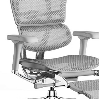 Ergonor 保友办公家具 金豪E 2代 人体工学电脑椅+躺舒宝 银白色 Q4.0版