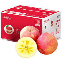 PLUS会员：水果蔬菜 新疆阿克苏冰糖心苹果 彩箱礼盒 净重4.5斤 单果80-85mm