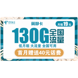 CHINA TELECOM 中国电信 翼静卡 19元月租（100G通用流量+30G定向流量）赠送40话费
