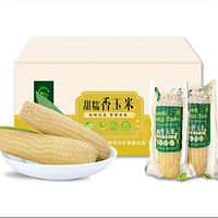 黑龙永胜 新鲜粘玉米 10支 共2200g