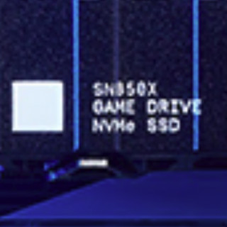 Western Digital 西部数据 WD_BLACK SN850X RGB NVMe M.2 固态硬盘 2TB（PCI-E4.0）