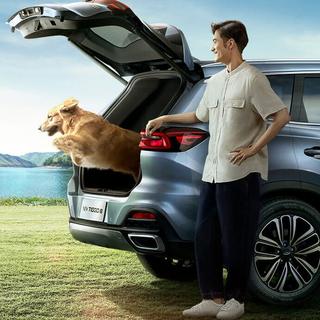 CHERY 奇瑞 瑞虎8 22款 1.5T 双离合 新动尊崇版 7座
