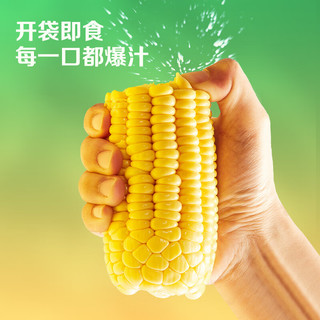 北纬47° BEIWEI）水果玉米甜玉米200g*6穗  即食玉米鲜玉米棒 低脂低GI早餐健身
