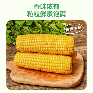 北纬47° BEIWEI）水果玉米甜玉米200g*6穗  即食玉米鲜玉米棒 低脂低GI早餐健身