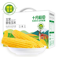 十月稻田 五常鲜食玉米 2.2kg