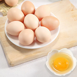 我老家 鲜鸡蛋柴鸡蛋40G*30农家山林散养土鸡蛋
